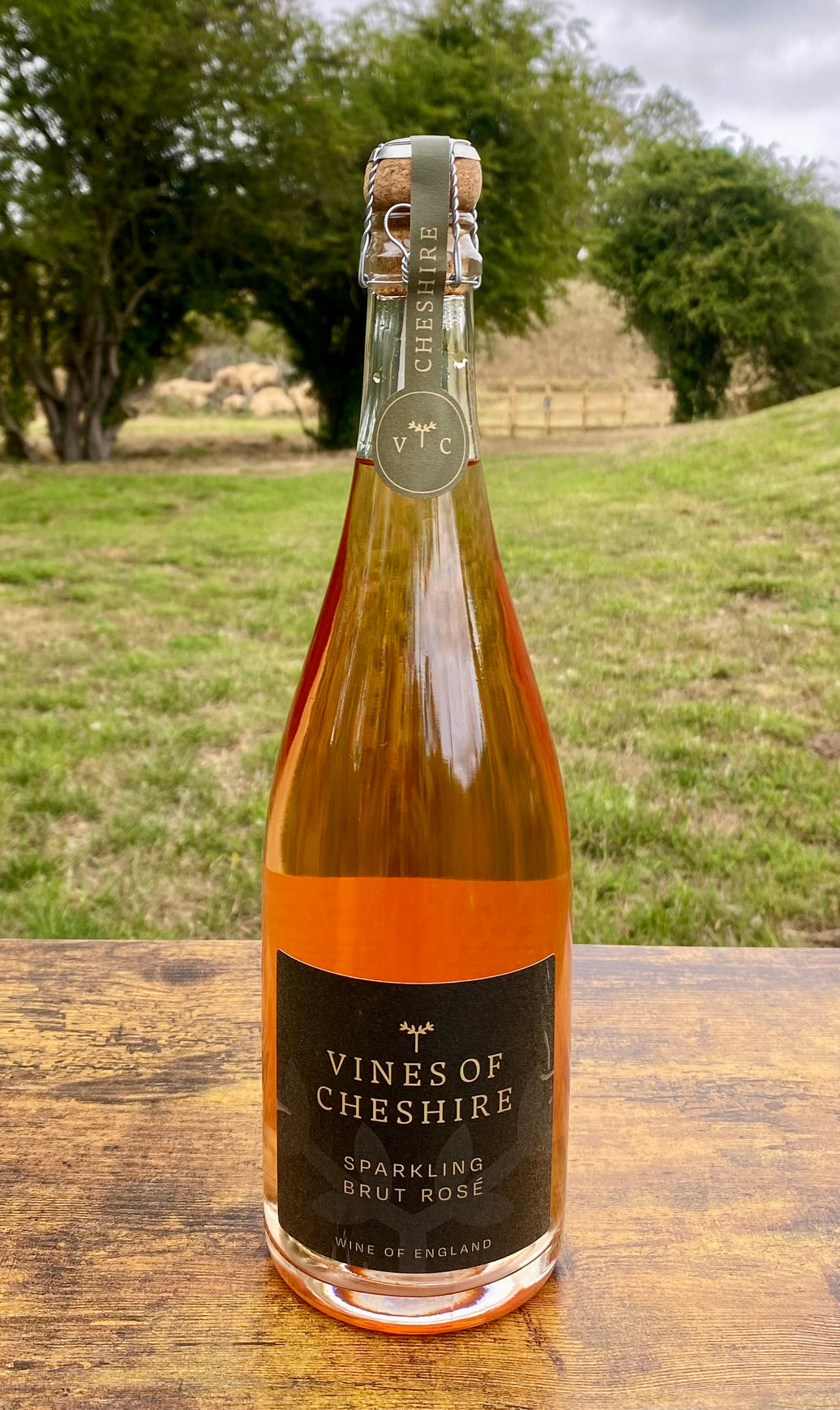 Sparkling Brut Rosé