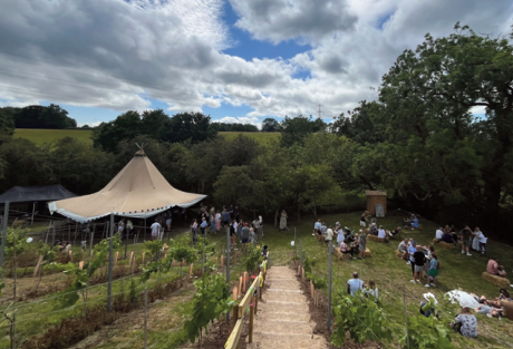 Vines of Cheshire Vineyard Tour